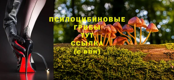спиды Алзамай