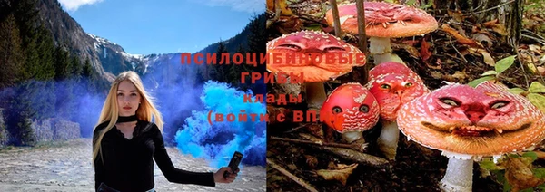 дживик Алексин