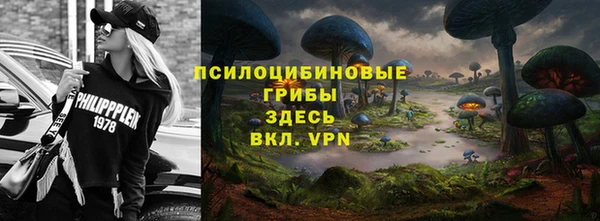 спиды Алзамай