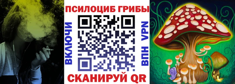 наркотики Щигры гидра рабочий сайт Галлюциногенные грибы мухоморы